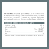 ARMONIA EUCARTIL ARMONIA EUCARTIL