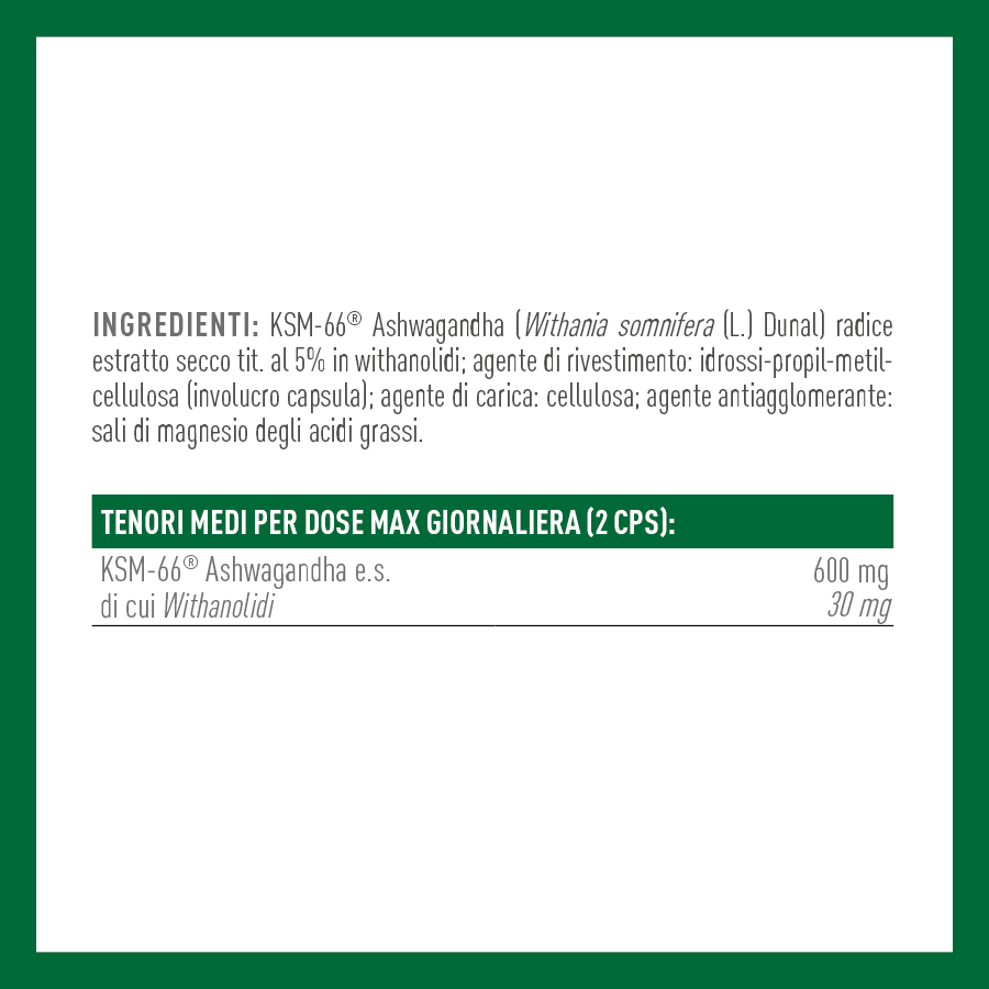 Ingredienti e tenori medi Ashwagandha: dosaggio di 600 mg di estratto KSM-66 e withanolidi - ScegliNatura
