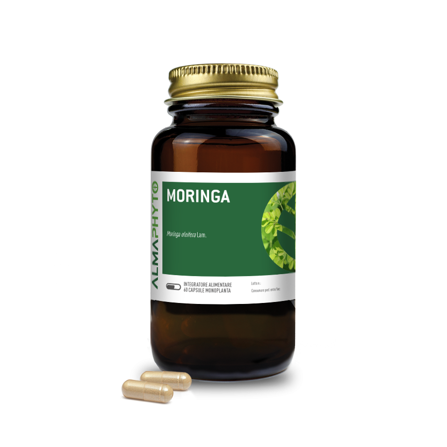 MORINGA
