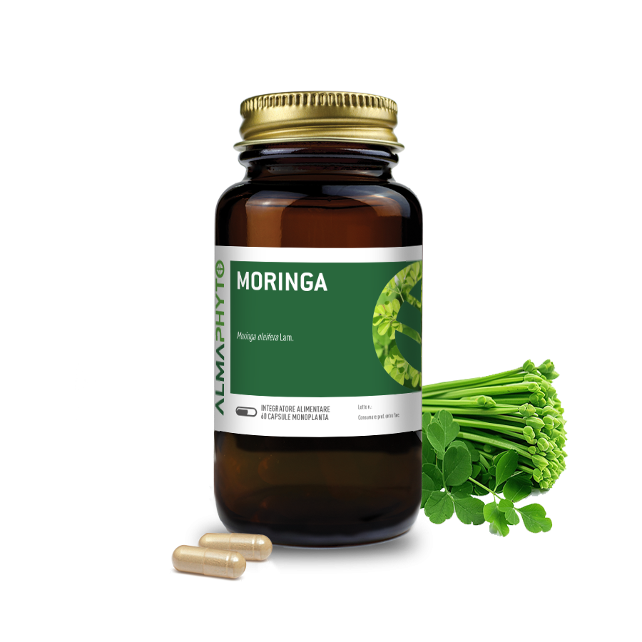 MORINGA