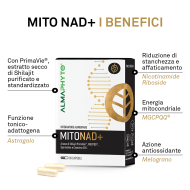 MITO NAD+