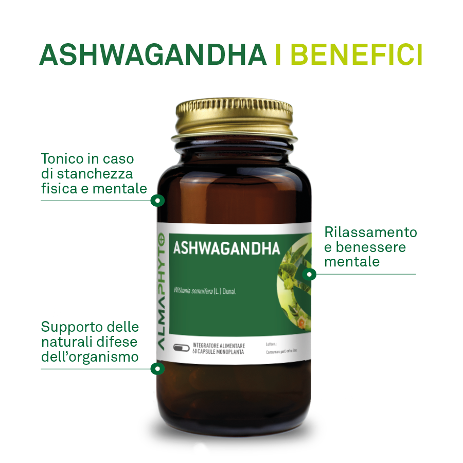Benefici Ashwagandha: tonico per stanchezza fisica e mentale, rilassamento e supporto delle difese - ScegliNatura