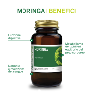 MORINGA