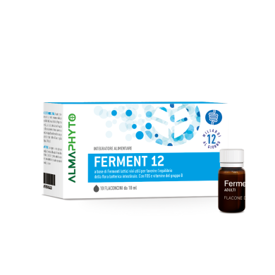 FERMENT 12