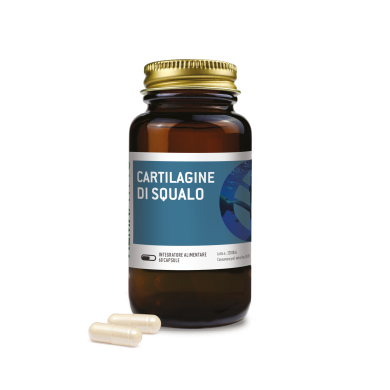 CARTILAGINE DI SQUALO