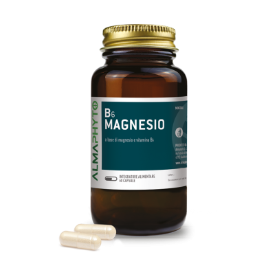 B6 MAGNESIO