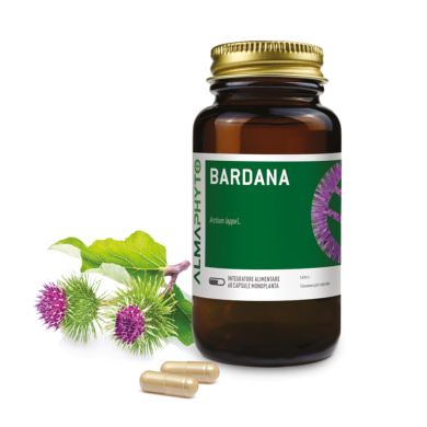 BARDANA