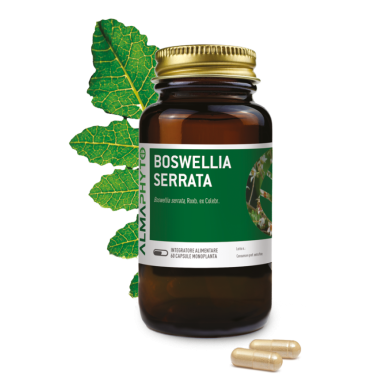 BOSWELLIA