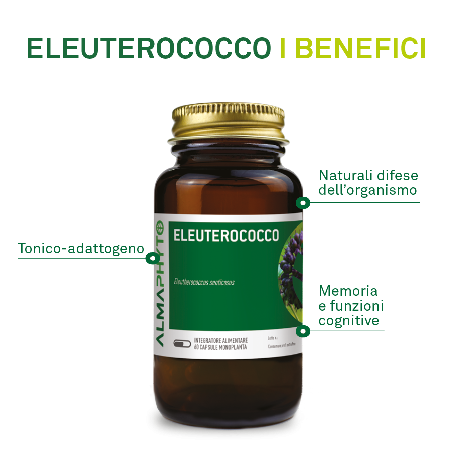 ELEUTEROCOCCO