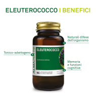 ELEUTEROCOCCO