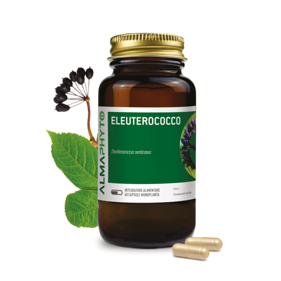 ELEUTEROCOCCO