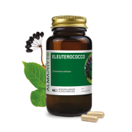 ELEUTEROCOCCO