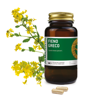 FIENO GRECO