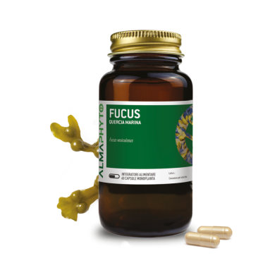 FUCUS