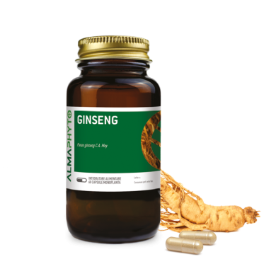 GINSENG