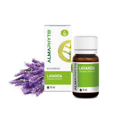 LAVANDA