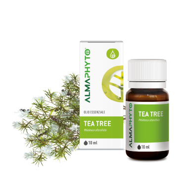 TEA TREE