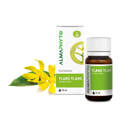 YLANG YLANG