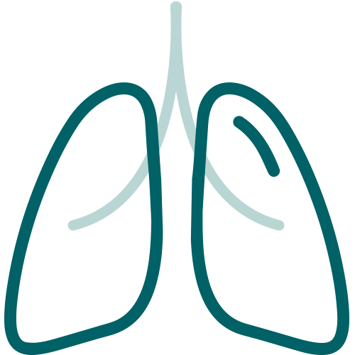 Integratori per il benessere delle vie respiratorie - Sceglinatura