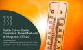 Guida Completa contro il Caldo Estivo: Rimedi Naturali e Integratori Efficaci