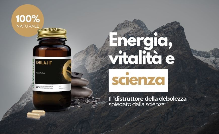 Shilajit: Benefici, Proprietà e Scienza dietro il "Distruttore della Debolezza"