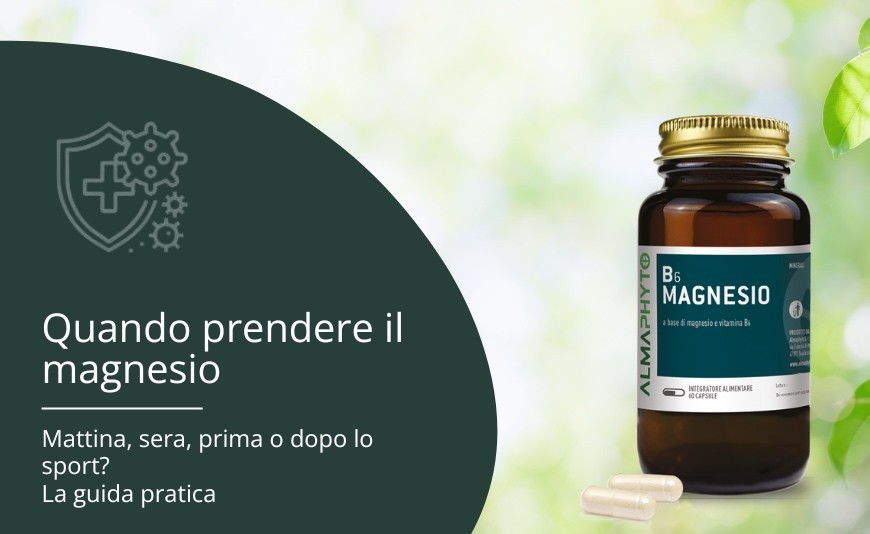 Quando prendere il magnesio: mattina, sera o dopo lo sport? La guida pratica