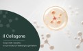 Guida Completa al Collagene: Fondamenti e Differenze tra Tipi